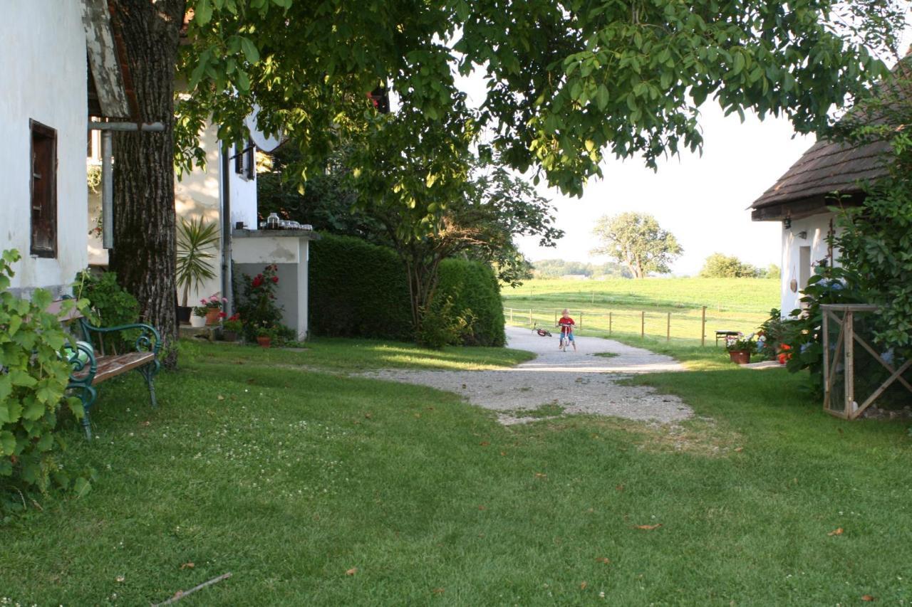 Ursteirerhof - Familie Kerschbaumer Paalsdorf Eksteriør billede